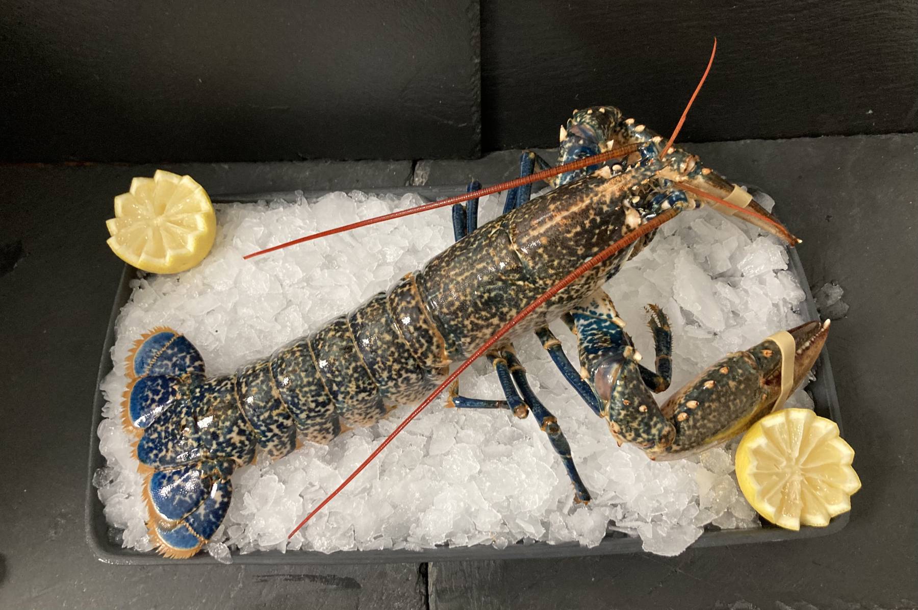 Homard 500/900gr (env. 300 gr / pers)
