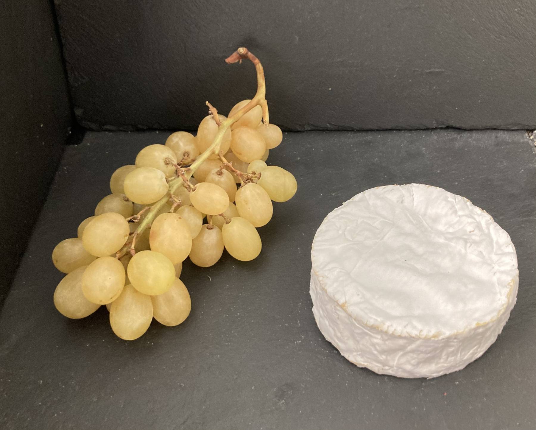 Camembert 