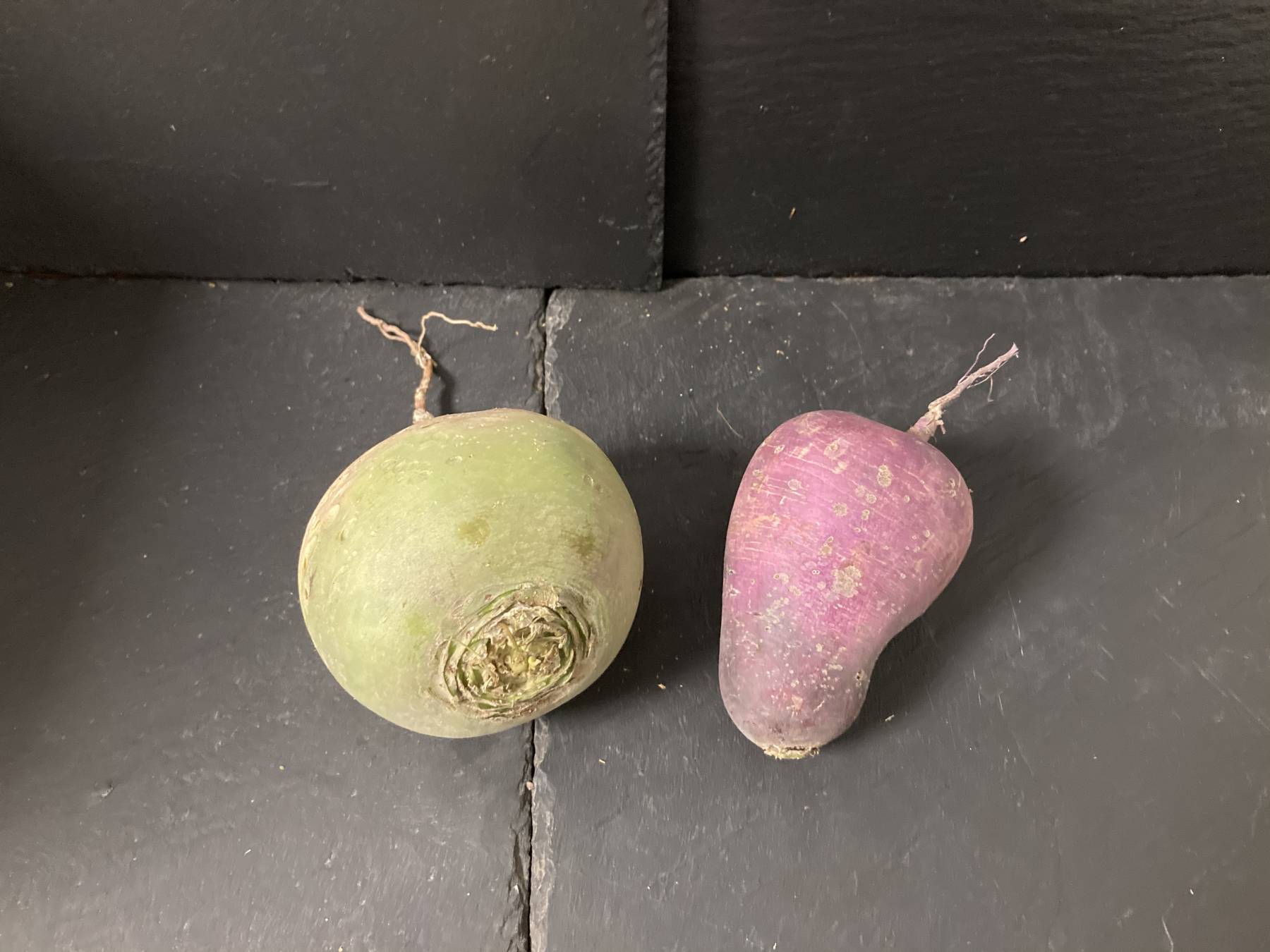 Radis de couleur/Blue meat et red meat bio