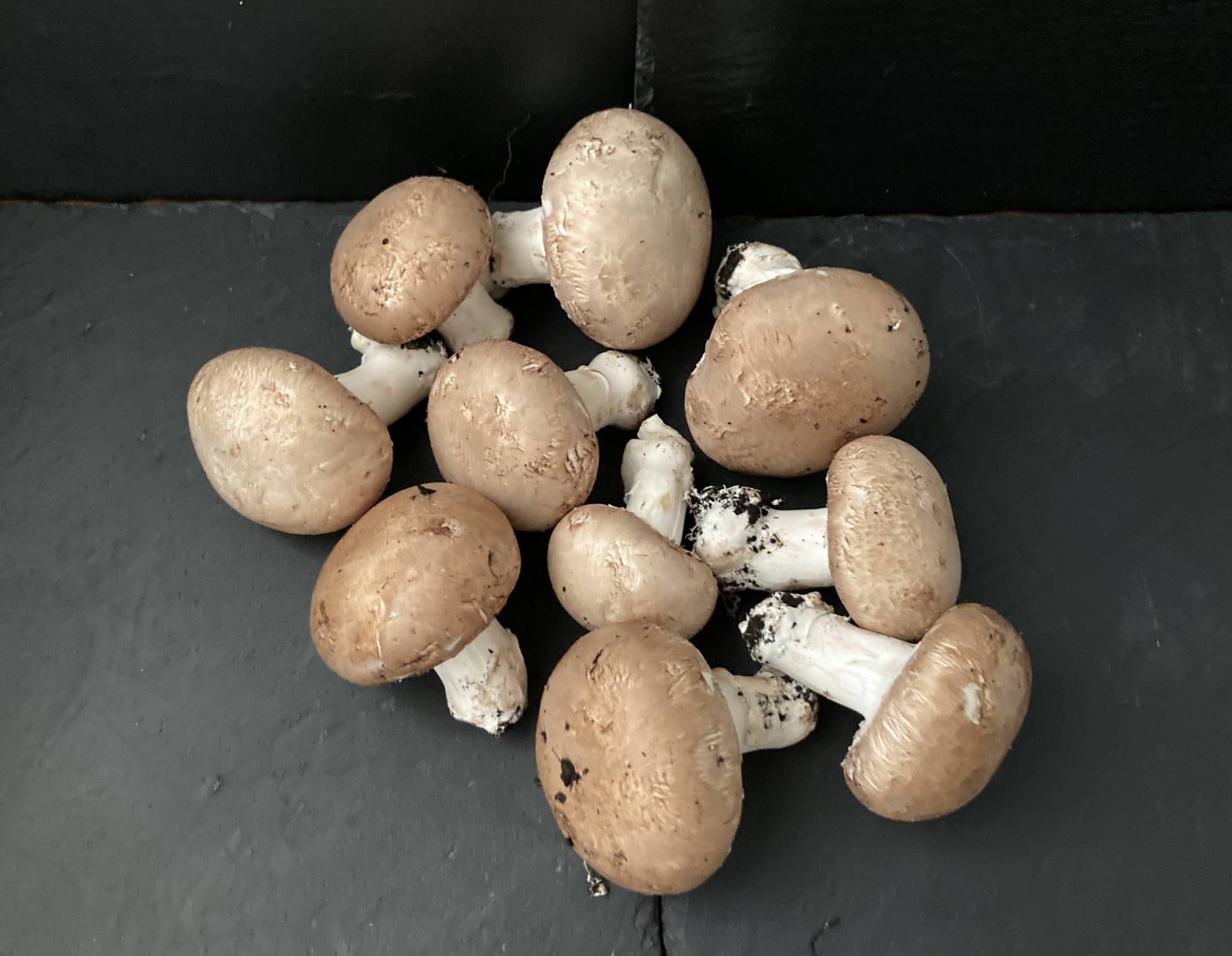 Champignons pied entier blonds 500gr