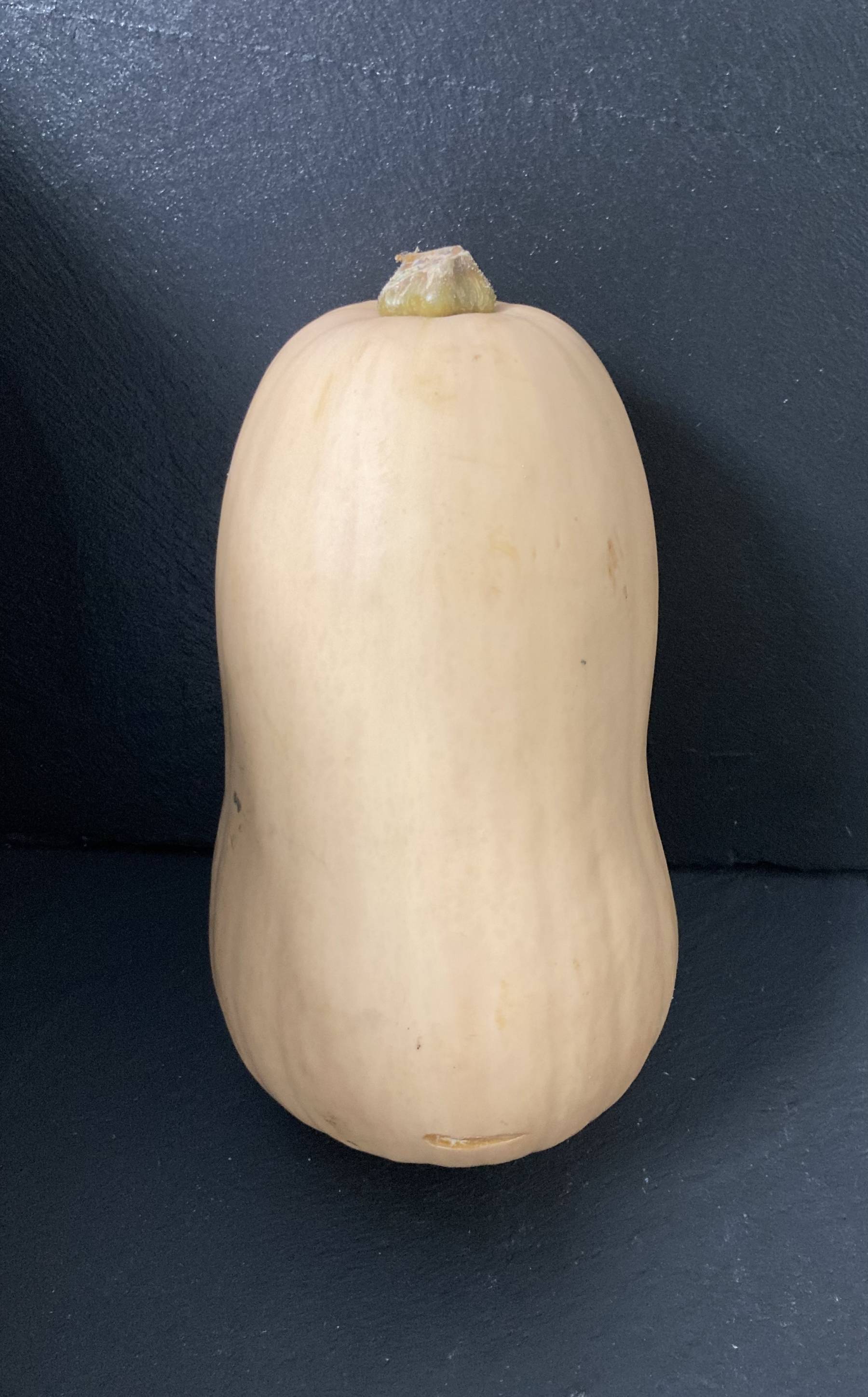 Courge butternut 