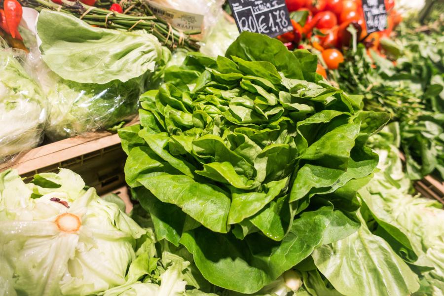 Salades vertes Le Coin du Goût