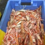 Langoustines Le Coin du Goût