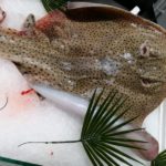 Poissons Raie Le Coin du Goût
